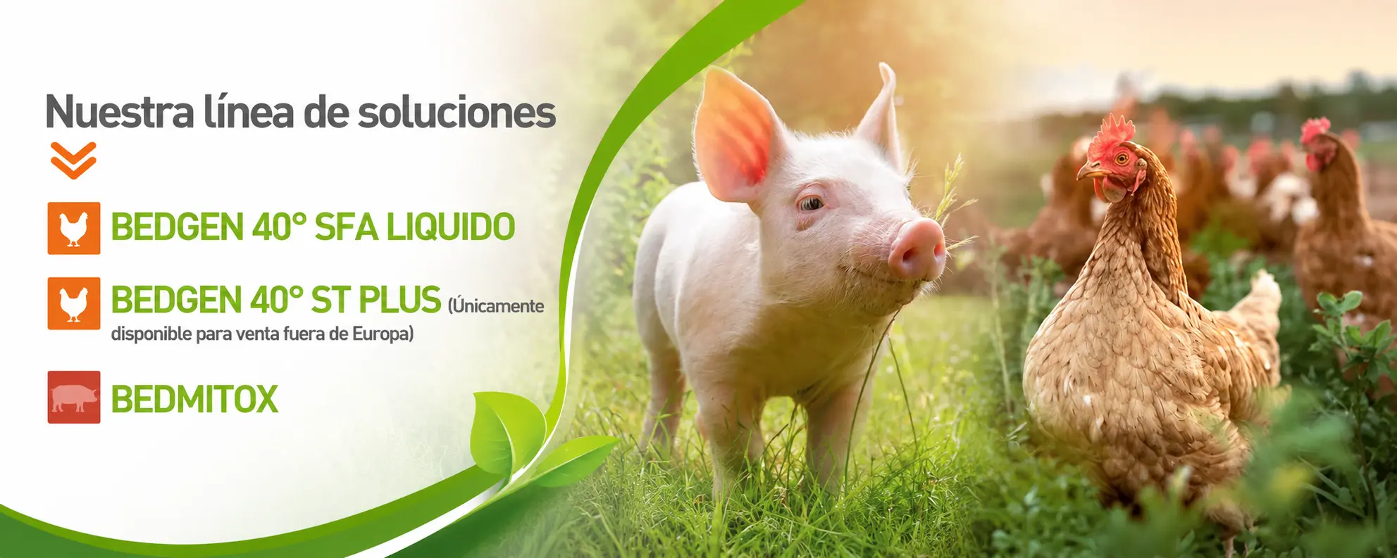 Soluciones Bedson Europe