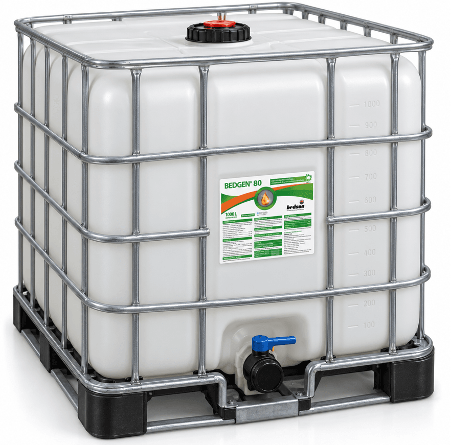 IBCS BEDGEN 80